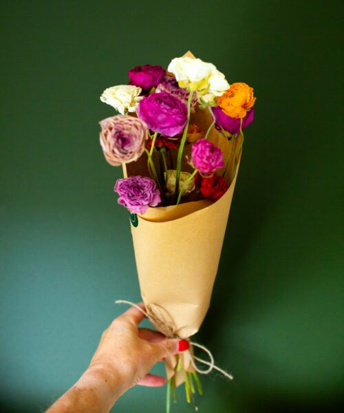 Dried Ranunculus bunch