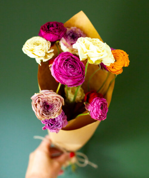 Dried Ranunculus bunch - Image 2