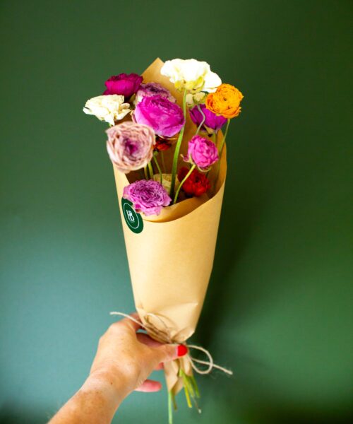 Dried Ranunculus bunch - Image 3
