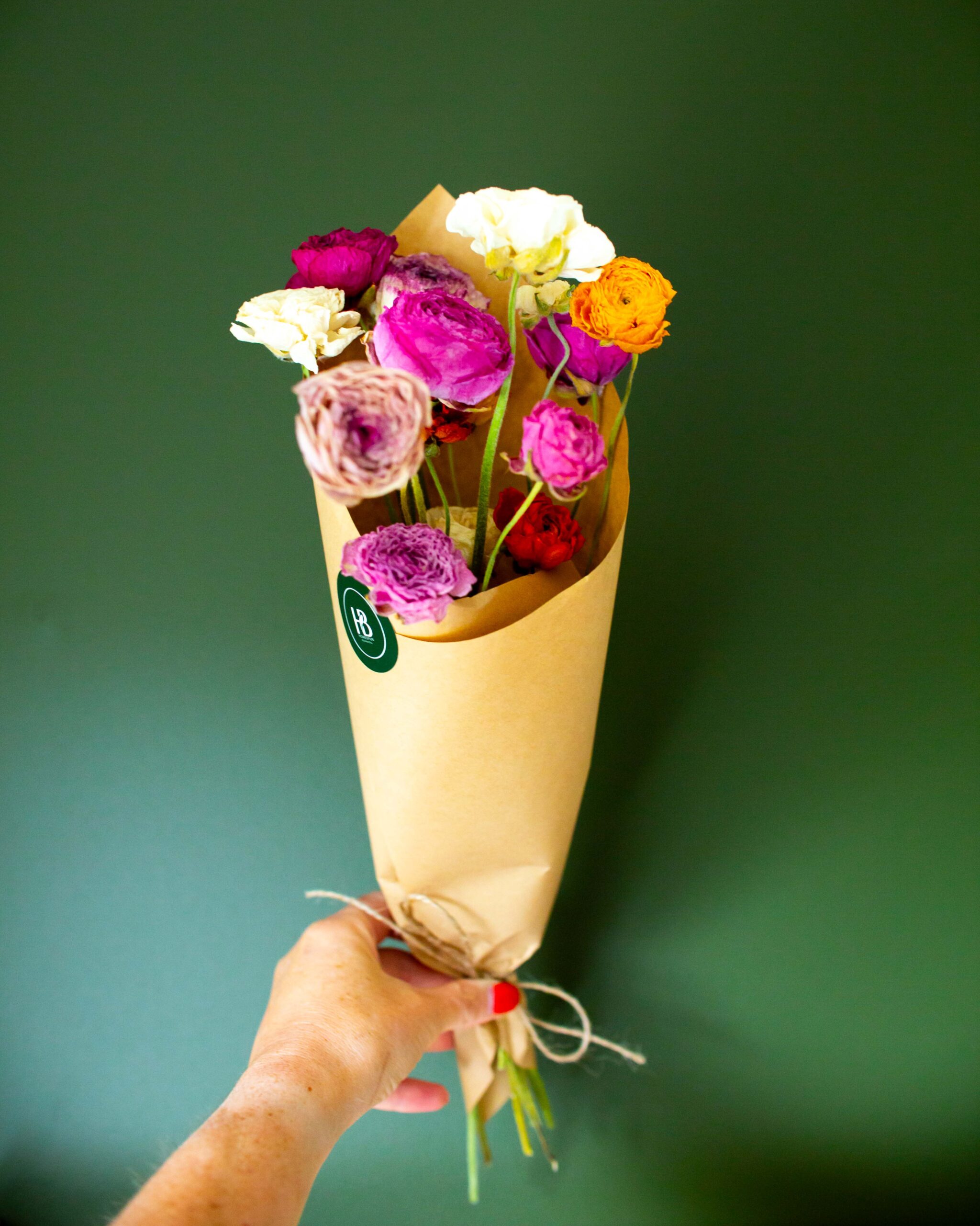 Dried Ranunculus bunch - Image 3